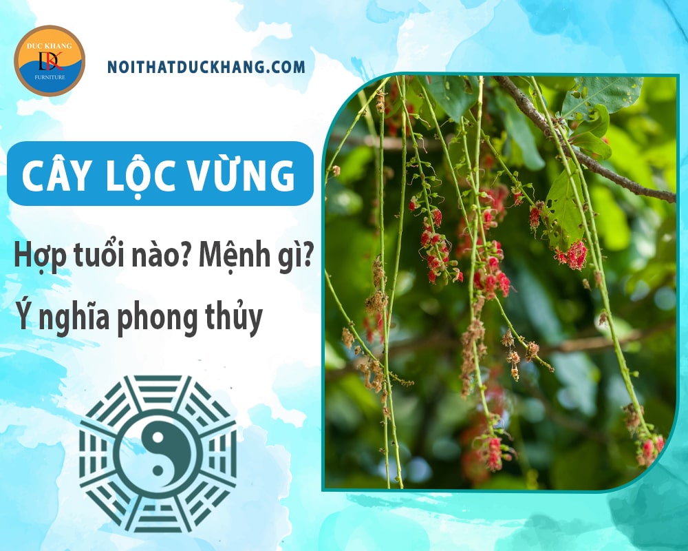 Cây lộc vừng hợp tuổi nào? Mệnh gì? Ý nghĩa phong thủy?