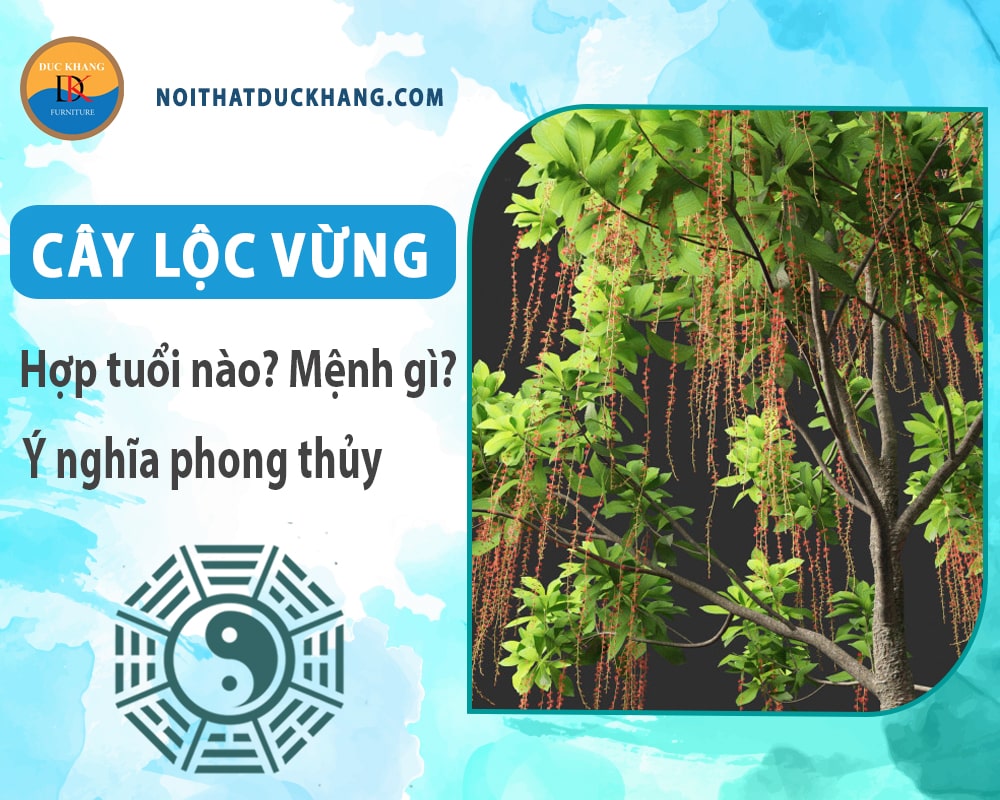 Cây lộc vừng hợp tuổi nào? Mệnh gì? Ý nghĩa phong thủy?