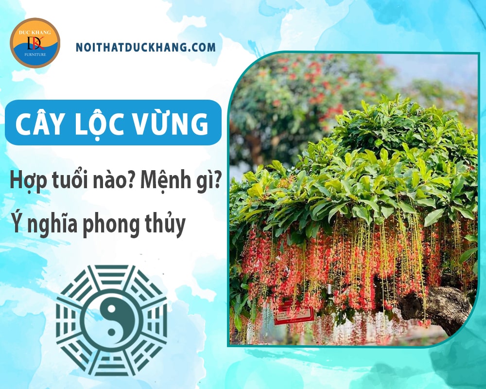 Cây lộc vừng hợp tuổi nào? Mệnh gì? Ý nghĩa phong thủy?