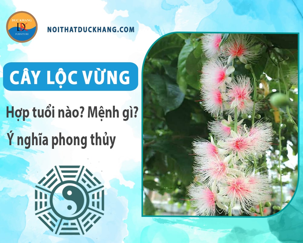 Cây lộc vừng hợp tuổi nào? Mệnh gì? Ý nghĩa phong thủy?