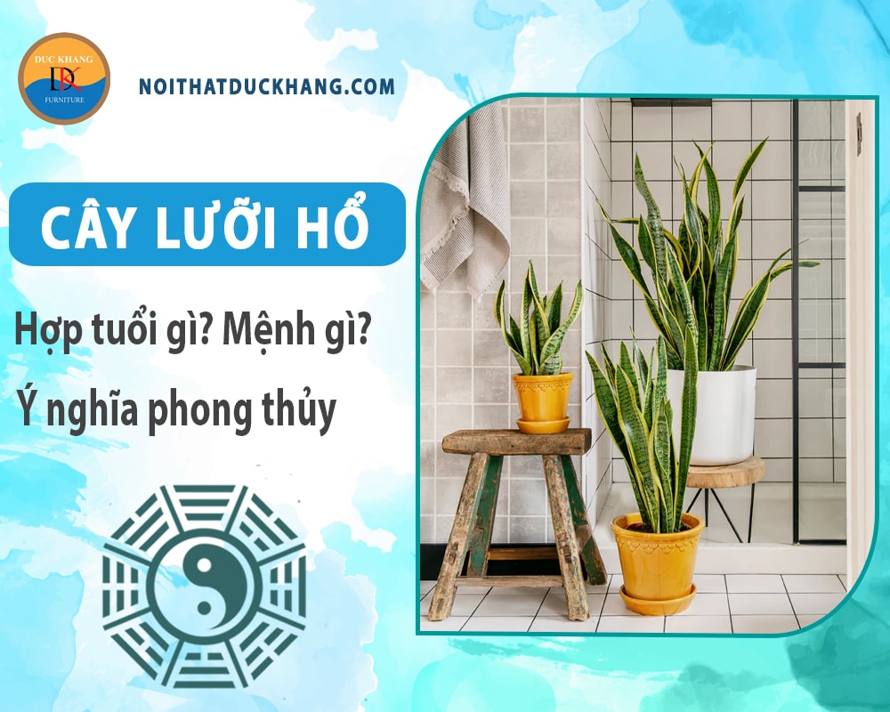 Cây lưỡi hổ hợp tuổi gì? Mệnh gì? Ý nghĩa phong thủy?