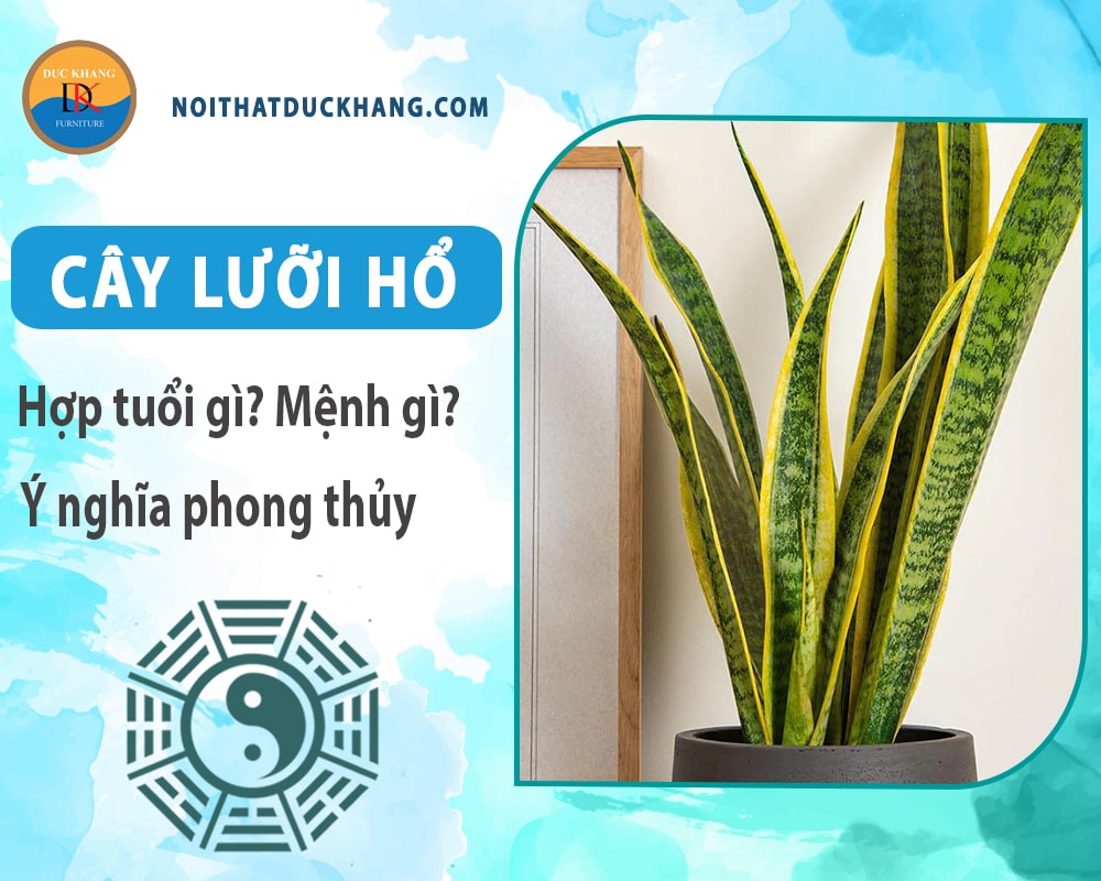 Cây lưỡi hổ hợp tuổi gì? Mệnh gì? Ý nghĩa phong thủy?