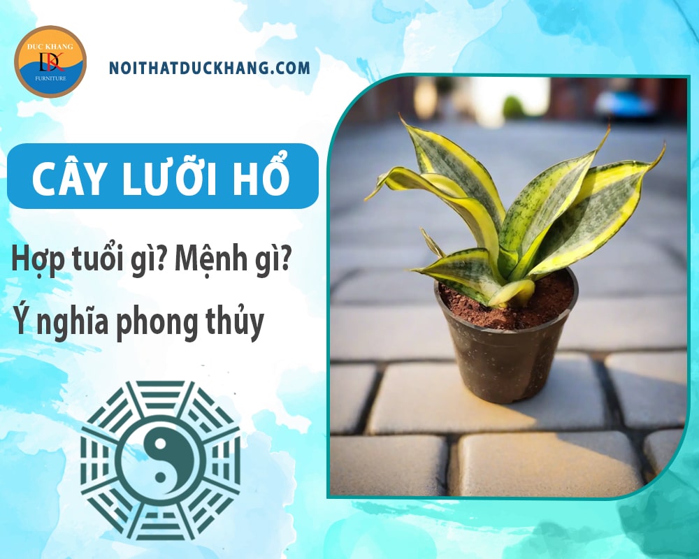 Cây lưỡi hổ hợp tuổi gì? Mệnh gì? Ý nghĩa phong thủy?