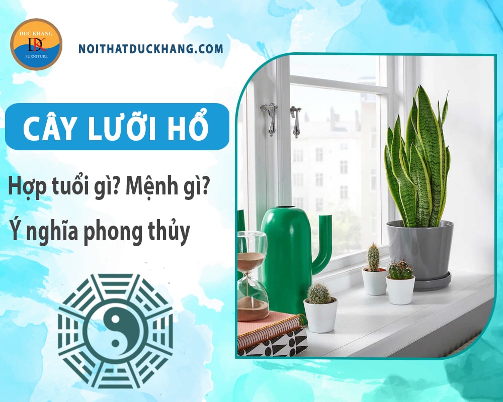 Cây lưỡi hổ hợp tuổi gì? Mệnh gì? Ý nghĩa phong thủy?