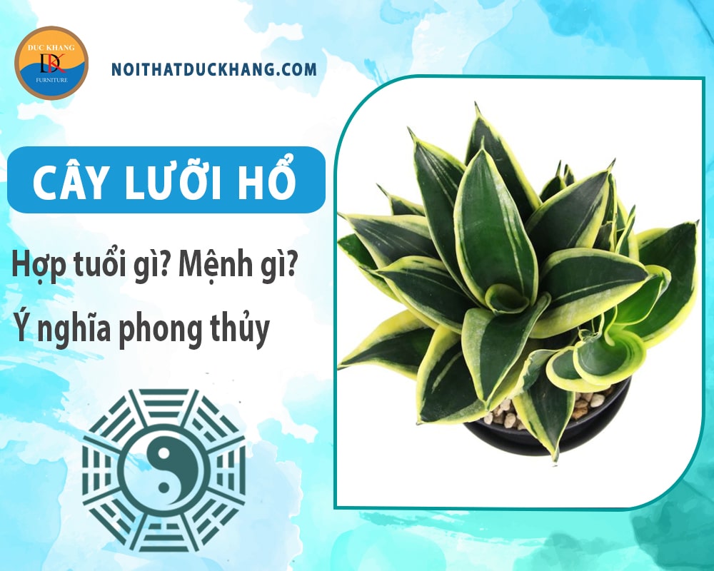 Cây lưỡi hổ hợp tuổi gì? Mệnh gì? Ý nghĩa phong thủy?