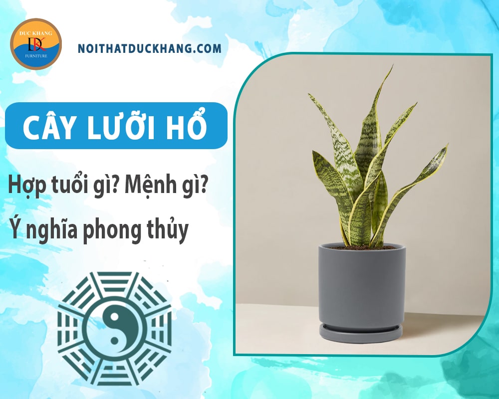 Cây lưỡi hổ hợp tuổi gì? Mệnh gì? Ý nghĩa phong thủy?