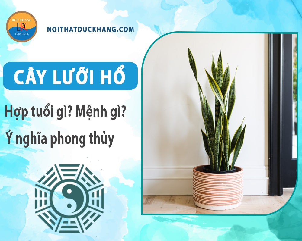 Cây lưỡi hổ hợp tuổi gì? Mệnh gì? Ý nghĩa phong thủy?