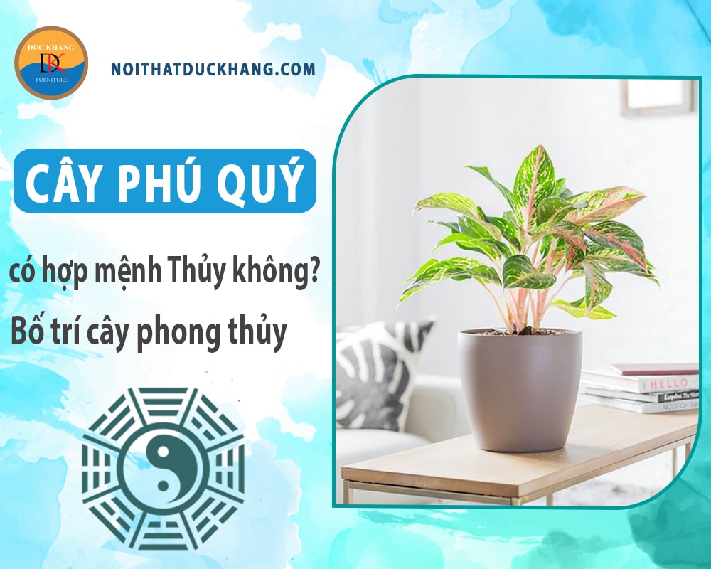 Cây phú quý có hợp mệnh Thủy không? Bố trí cây phong thủy