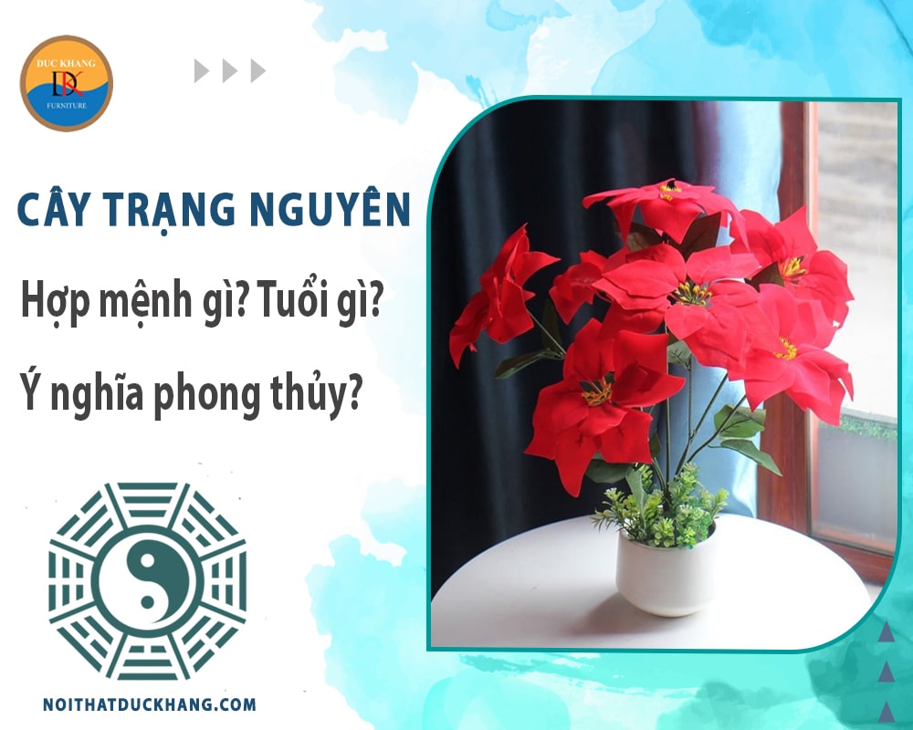 Cây trạng nguyên hợp mệnh gì? Tuổi gì? Ý nghĩa phong thủy?