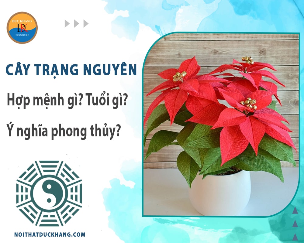 Cây trạng nguyên hợp mệnh gì? Tuổi gì? Ý nghĩa phong thủy?