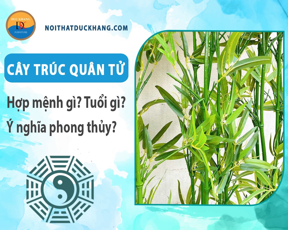 Cây trúc quân tử hợp mệnh gì? Tuổi gì? Ý nghĩa phong thủy?