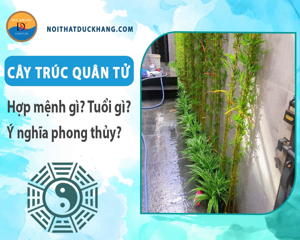 Cây trúc quân tử hợp mệnh gì? Tuổi gì? Ý nghĩa phong thủy?