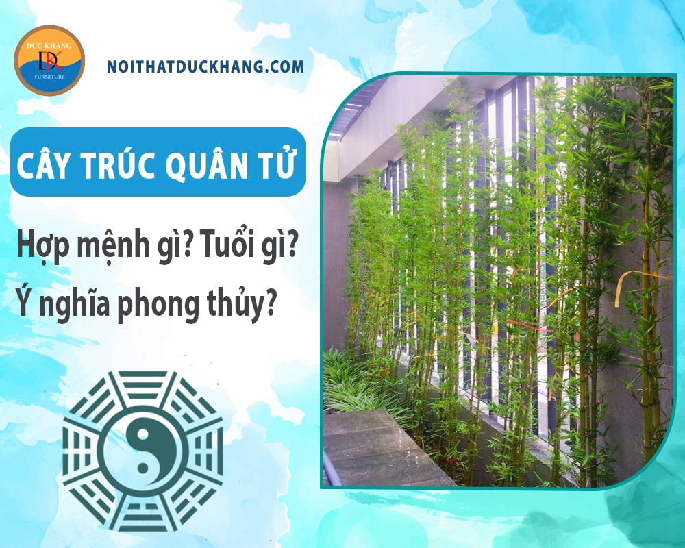 Cây trúc quân tử hợp mệnh gì? Tuổi gì? Ý nghĩa phong thủy?