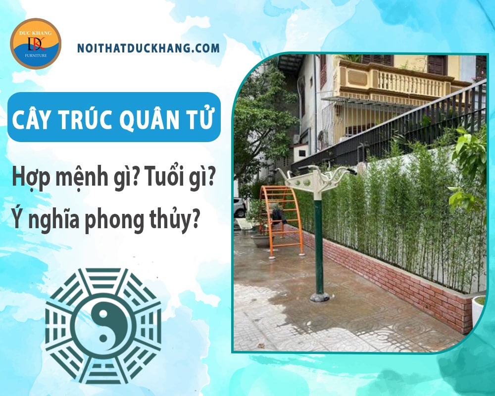 Cây trúc quân tử hợp mệnh gì? Tuổi gì? Ý nghĩa phong thủy?