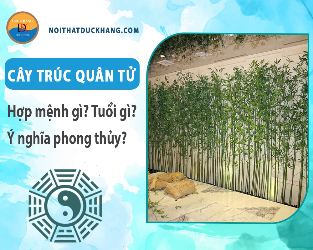 Cây trúc quân tử hợp mệnh gì? Tuổi gì? Ý nghĩa phong thủy?