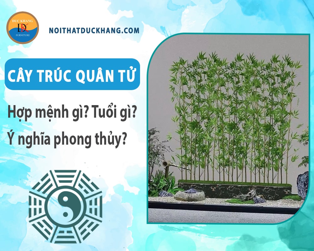 Cây trúc quân tử hợp mệnh gì? Tuổi gì? Ý nghĩa phong thủy?