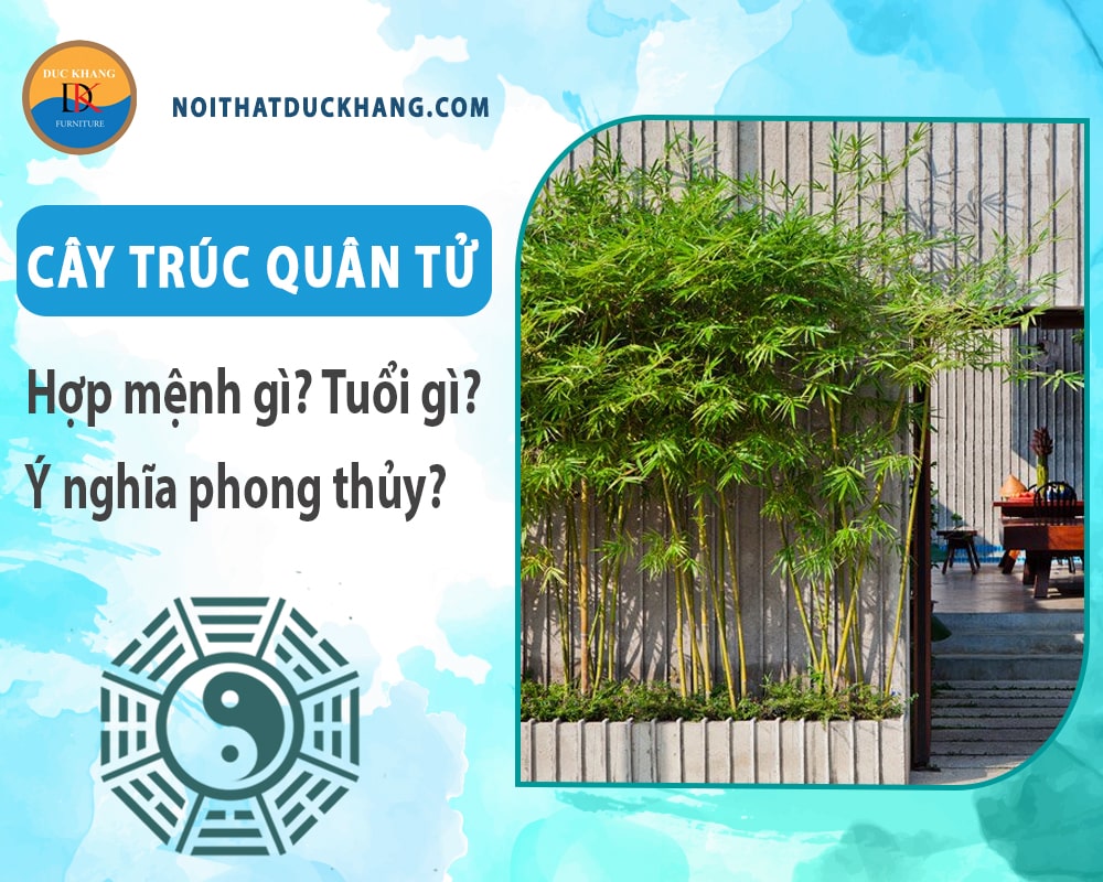 Cây trúc quân tử hợp mệnh gì? Tuổi gì? Ý nghĩa phong thủy?