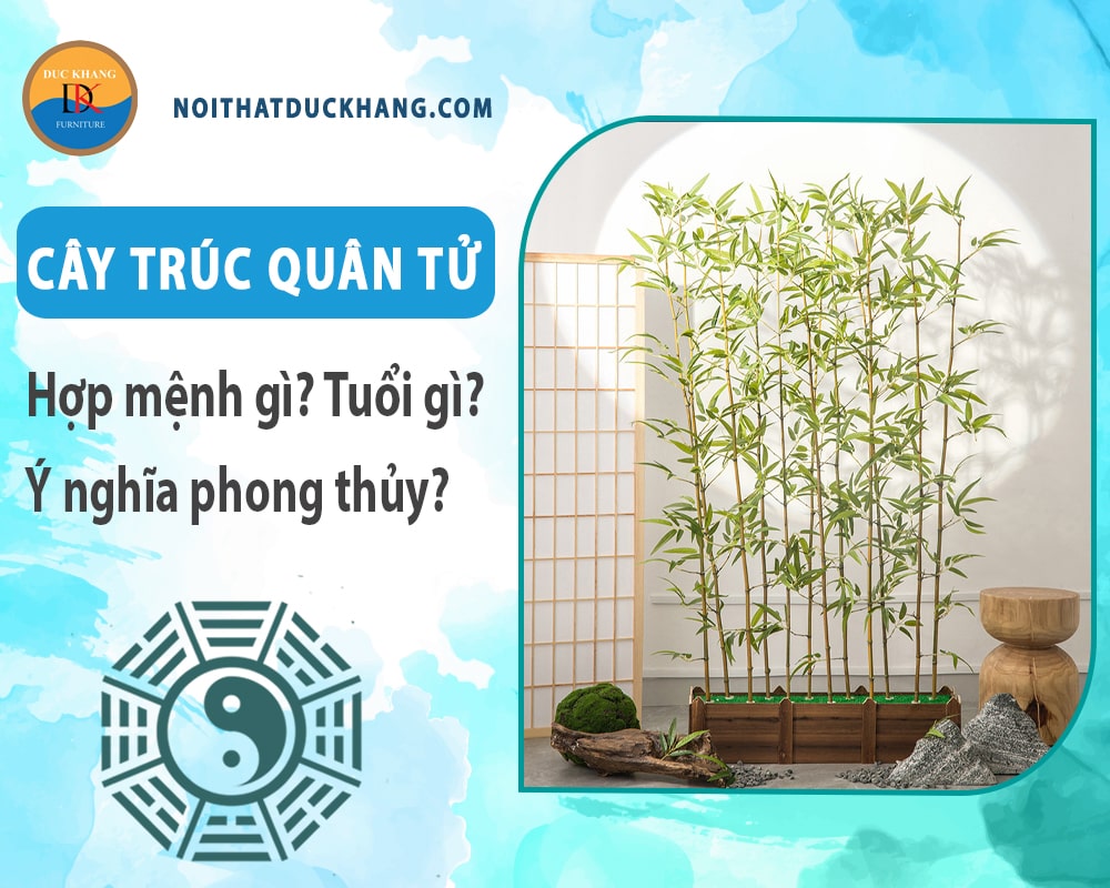 Cây trúc quân tử hợp mệnh gì? Tuổi gì? Ý nghĩa phong thủy?