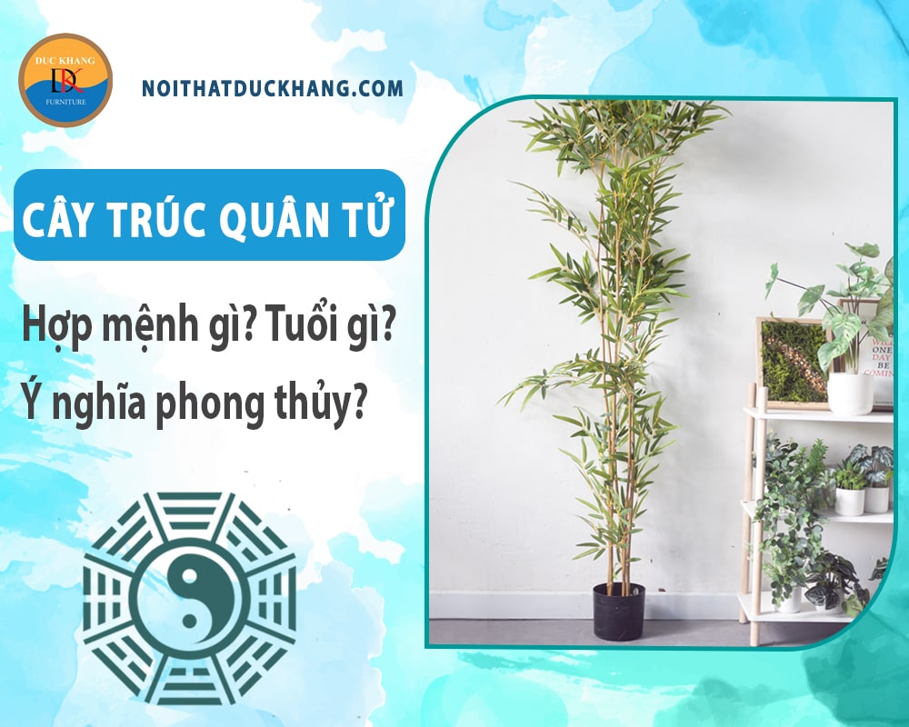 Cây trúc quân tử hợp mệnh gì? Tuổi gì? Ý nghĩa phong thủy?