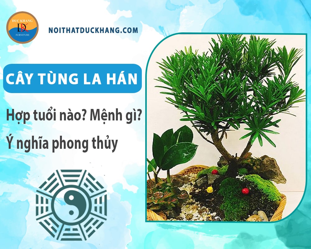 Cây tùng la hán hợp tuổi nào? Mệnh gì? Ý nghĩa phong thủy?