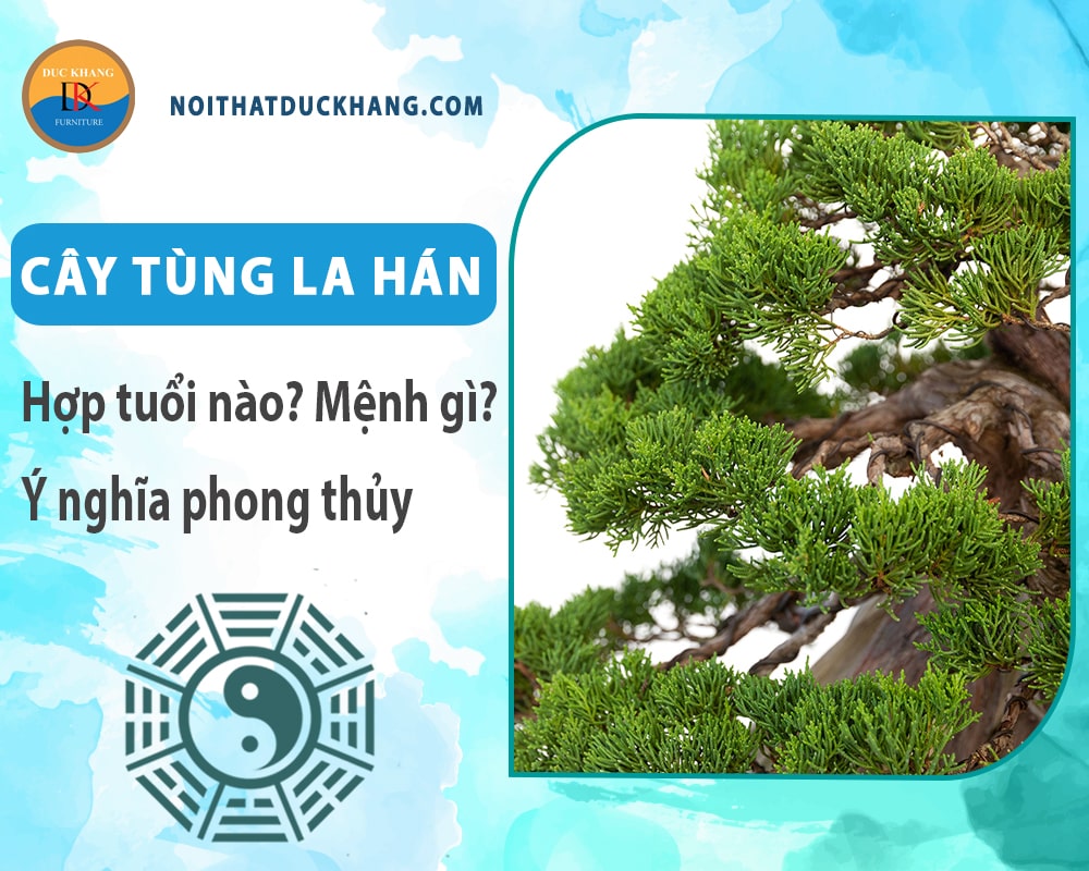 Cây tùng la hán hợp tuổi nào? Mệnh gì? Ý nghĩa phong thủy?