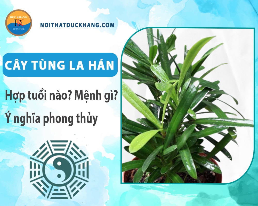 Cây tùng la hán hợp tuổi nào? Mệnh gì? Ý nghĩa phong thủy?