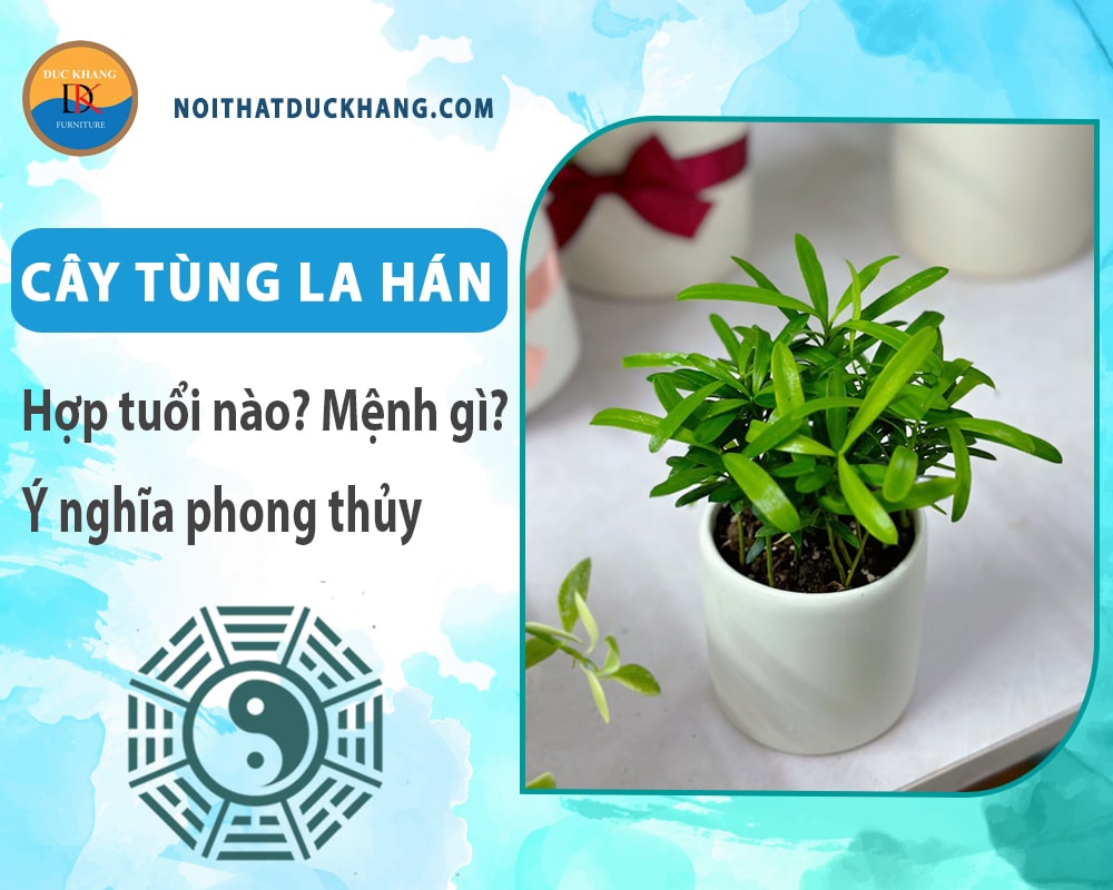 Cây tùng la hán hợp tuổi nào? Mệnh gì? Ý nghĩa phong thủy?