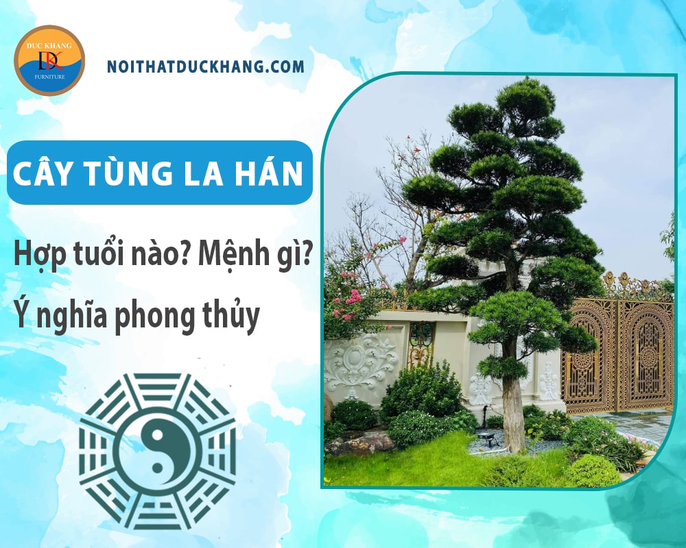 Cây tùng la hán hợp tuổi nào? Mệnh gì? Ý nghĩa phong thủy?