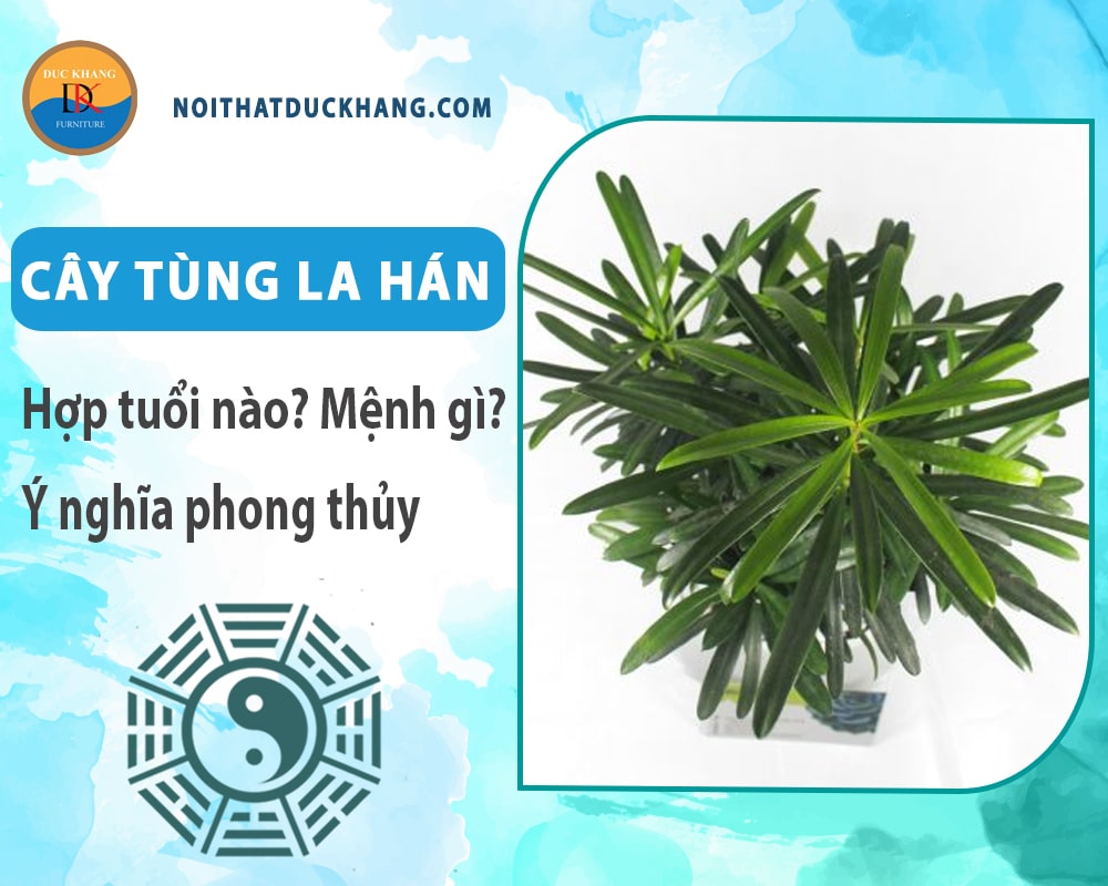 Cây tùng la hán hợp tuổi nào? Mệnh gì? Ý nghĩa phong thủy?