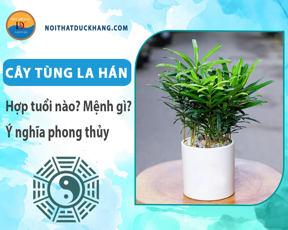 Cây tùng la hán hợp tuổi nào? Mệnh gì? Ý nghĩa phong thủy?