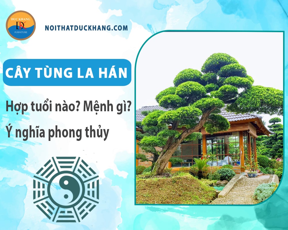 Cây tùng la hán hợp tuổi nào? Mệnh gì? Ý nghĩa phong thủy?