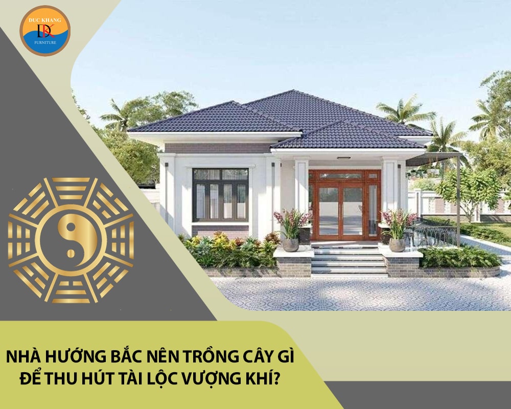 Nhà hướng Bắc nên trồng cây gì để thu hút tài lộc vượng khí?