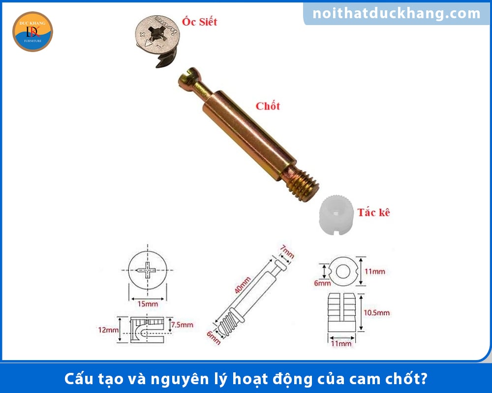 Cấu tạo và nguyên lý hoạt động của cam chốt?