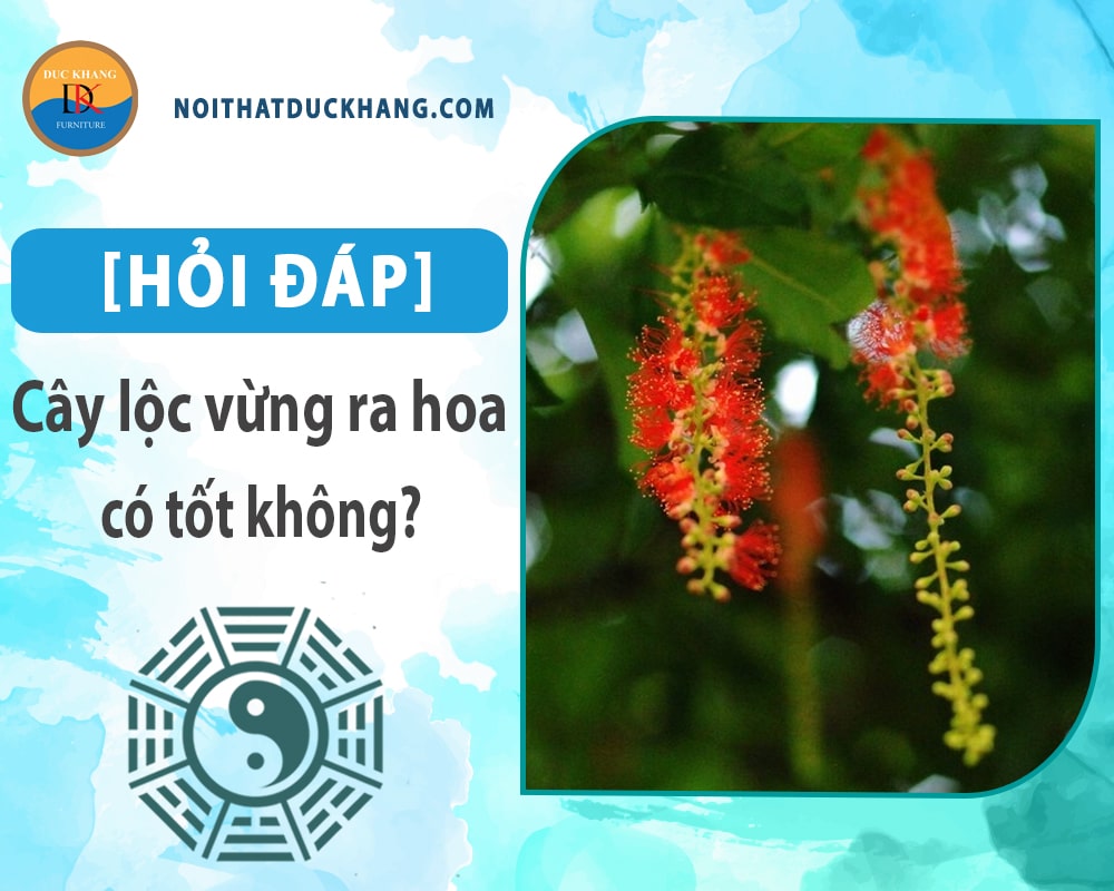 [Hỏi đáp] Cây lộc vừng ra hoa có tốt không?