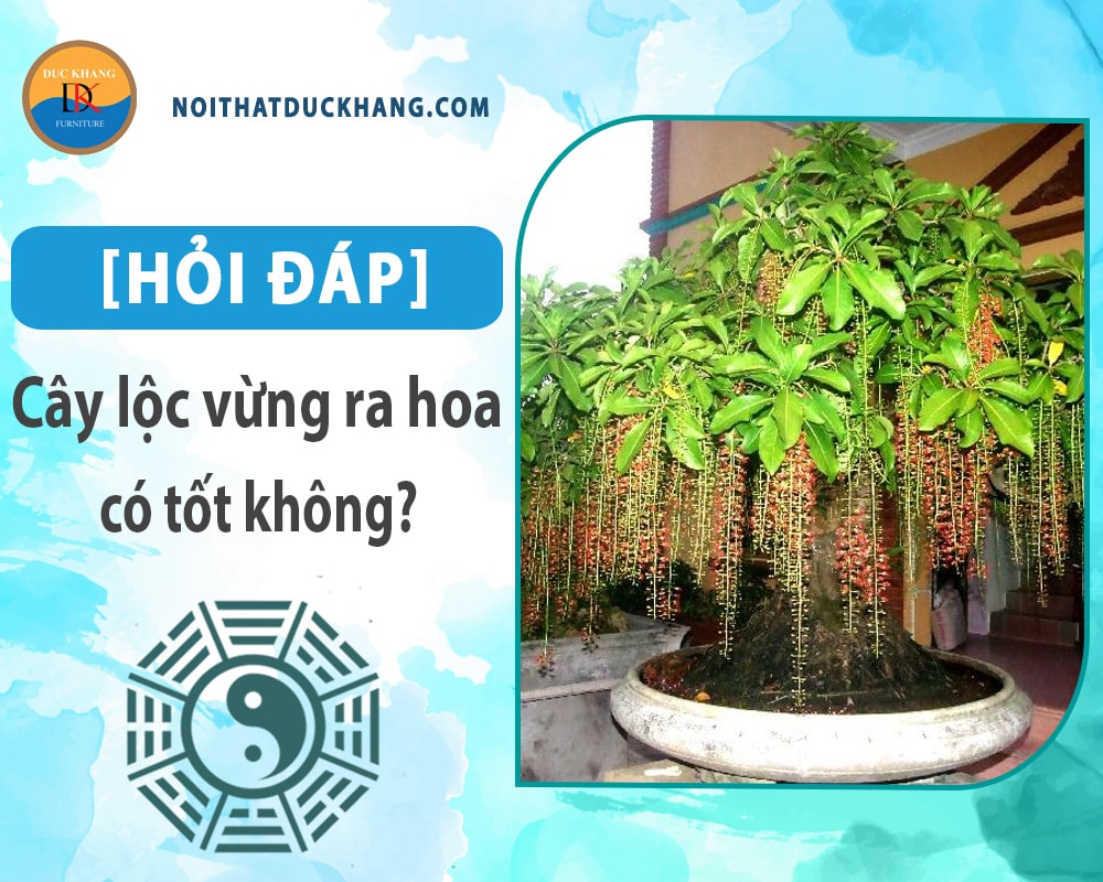[Hỏi đáp] Cây lộc vừng ra hoa có tốt không?