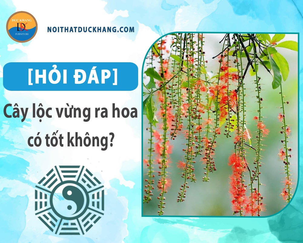 [Hỏi đáp] Cây lộc vừng ra hoa có tốt không?