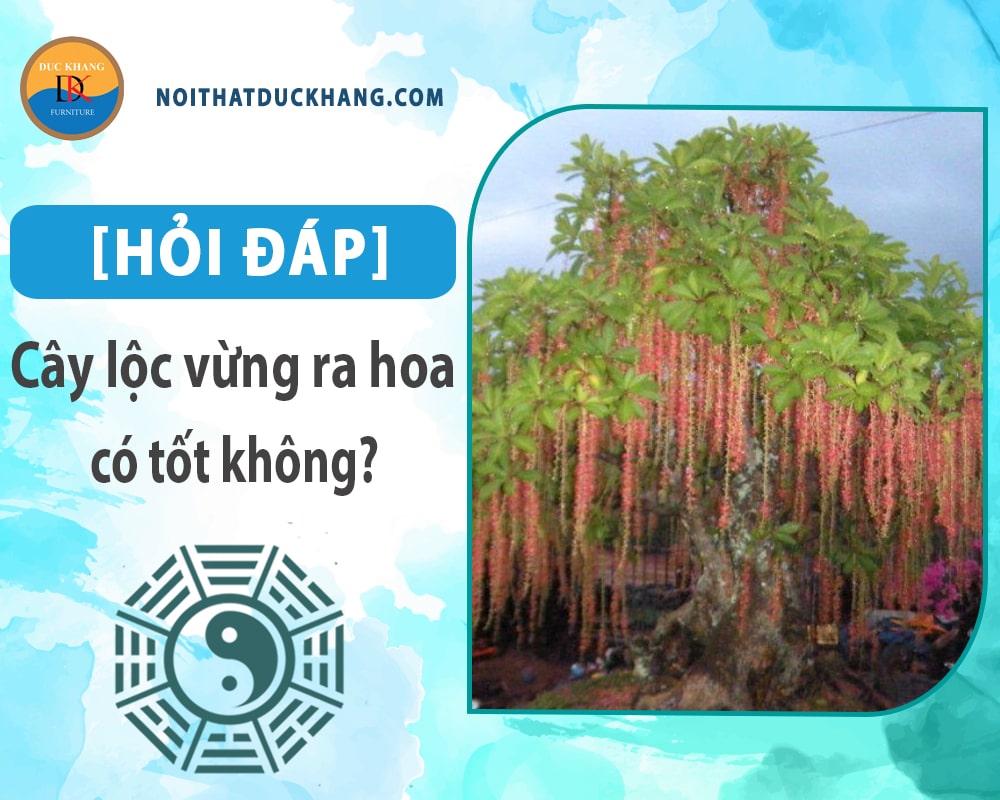 [Hỏi đáp] Cây lộc vừng ra hoa có tốt không?