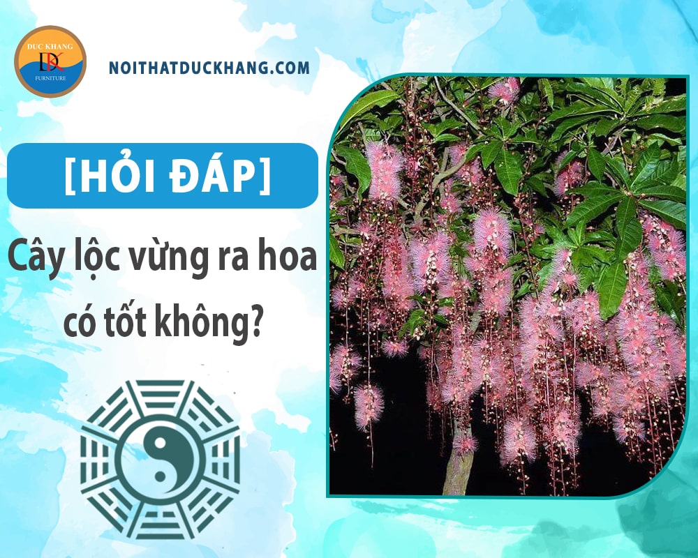 [Hỏi đáp] Cây lộc vừng ra hoa có tốt không?