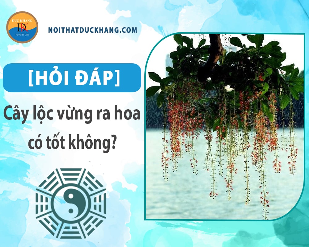 [Hỏi đáp] Cây lộc vừng ra hoa có tốt không?