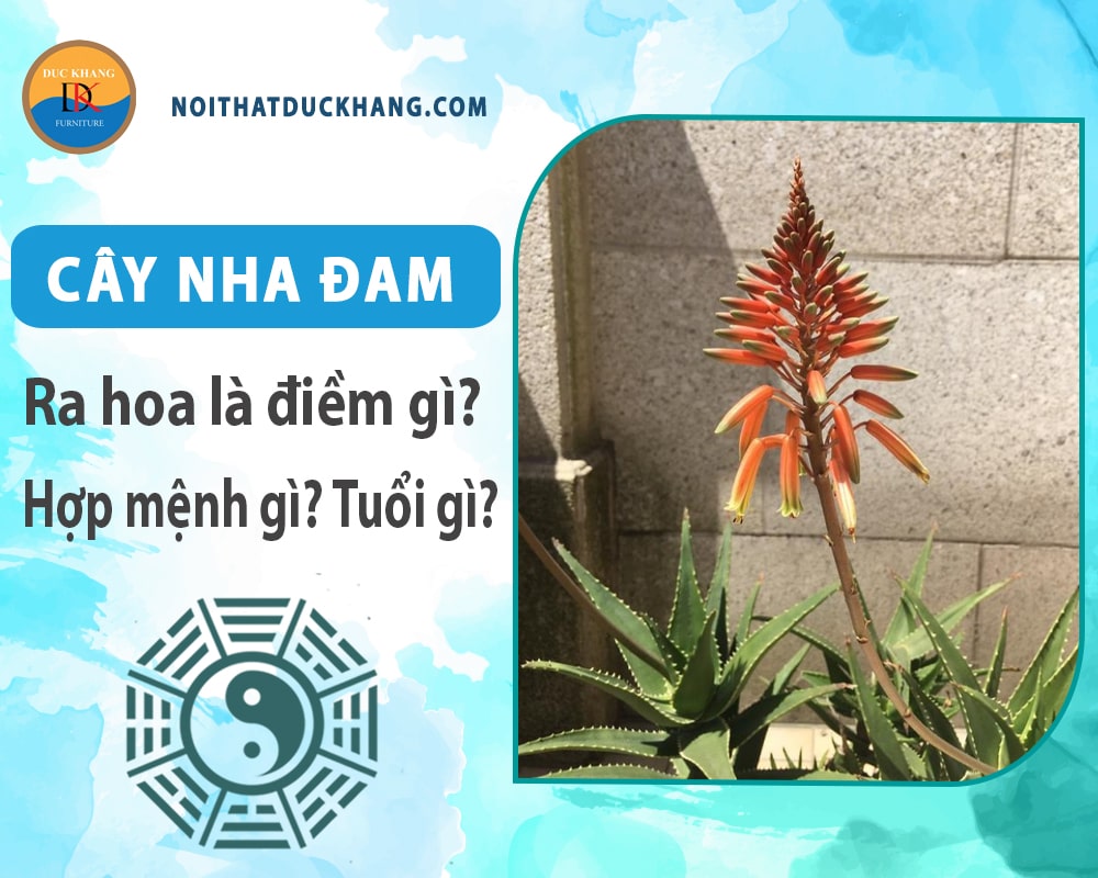 Cây Nha Đam hợp mệnh gì, tuổi gì? Ý nghĩa phong thủy