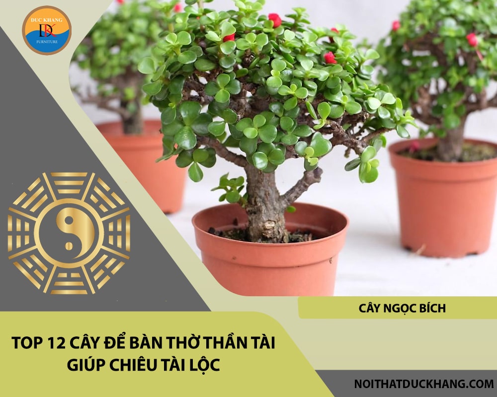Top 12 cây để bàn thờ thần tài giúp chiêu lộc tài, may mắn