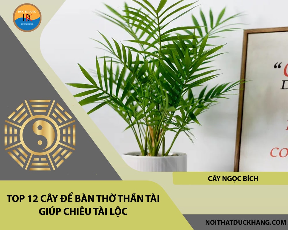 Top 12 cây để bàn thờ thần tài giúp chiêu lộc tài, may mắn