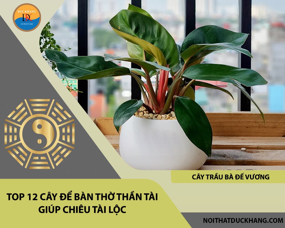 Top 12 cây để bàn thờ thần tài giúp chiêu lộc tài, may mắn