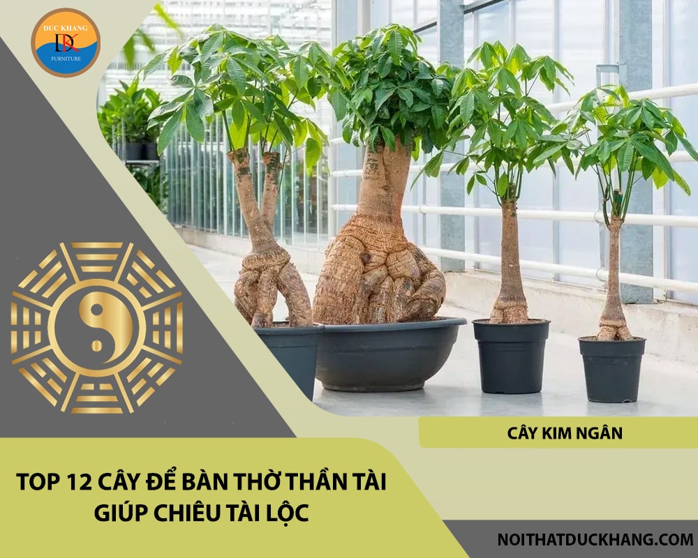 Top 12 cây để bàn thờ thần tài giúp chiêu lộc tài, may mắn - Cây kim ngân