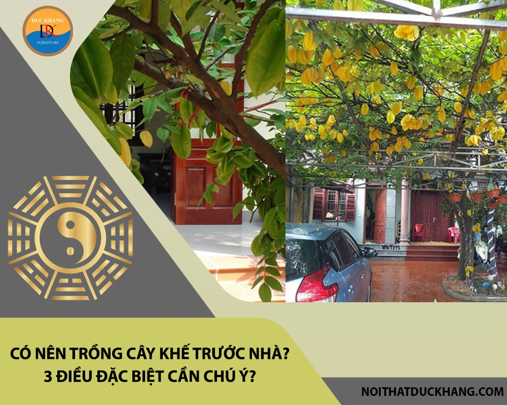Có nên trồng cây khế trước nhà? 3 điều đặc biệt cần chú ý?