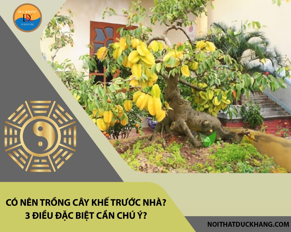 Có nên trồng cây khế trước nhà? 3 điều đặc biệt cần chú ý?