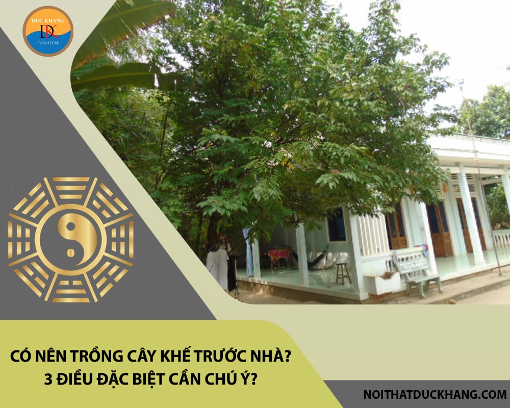 Có nên trồng cây khế trước nhà? 3 điều đặc biệt cần chú ý?