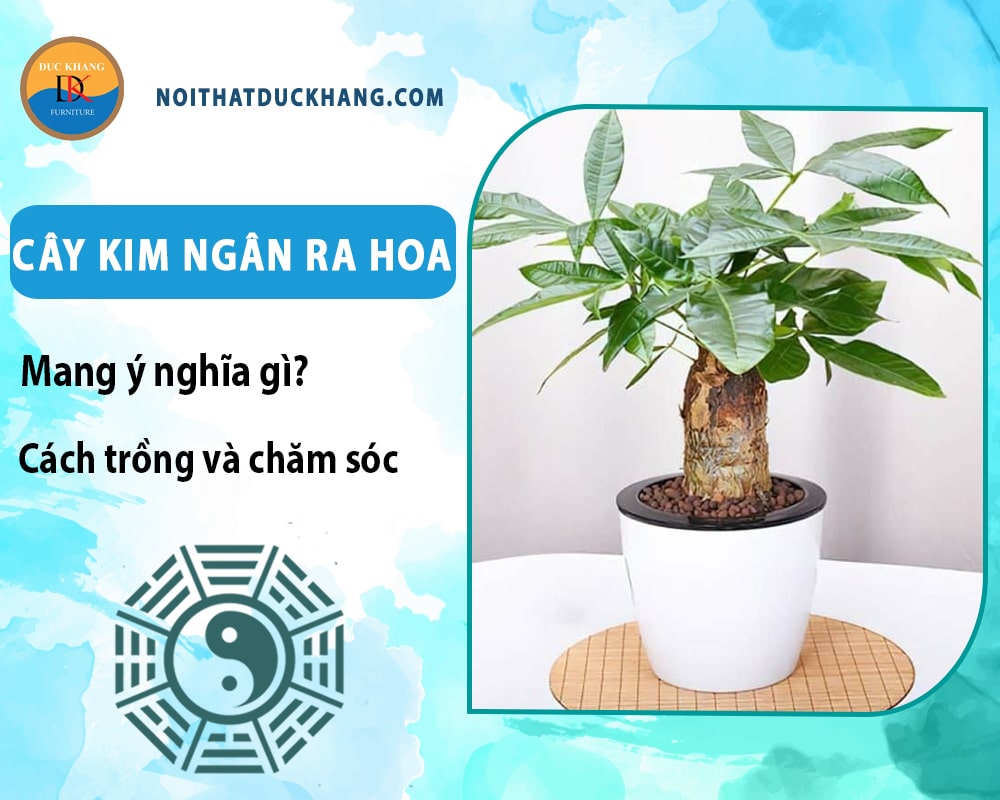 Cây kim ngân ra hoa mang ý nghĩa gì? Cách trồng và chăm sóc Cây kim ngân ra hoa mang ý nghĩa gì? Cách trồng và chăm sóc