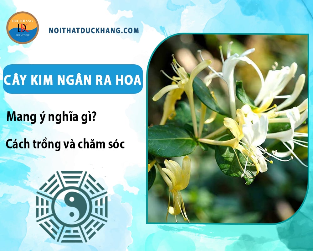 Cây kim ngân ra hoa mang ý nghĩa gì? Cách trồng và chăm sóc Cây kim ngân ra hoa mang ý nghĩa gì? Cách trồng và chăm sóc