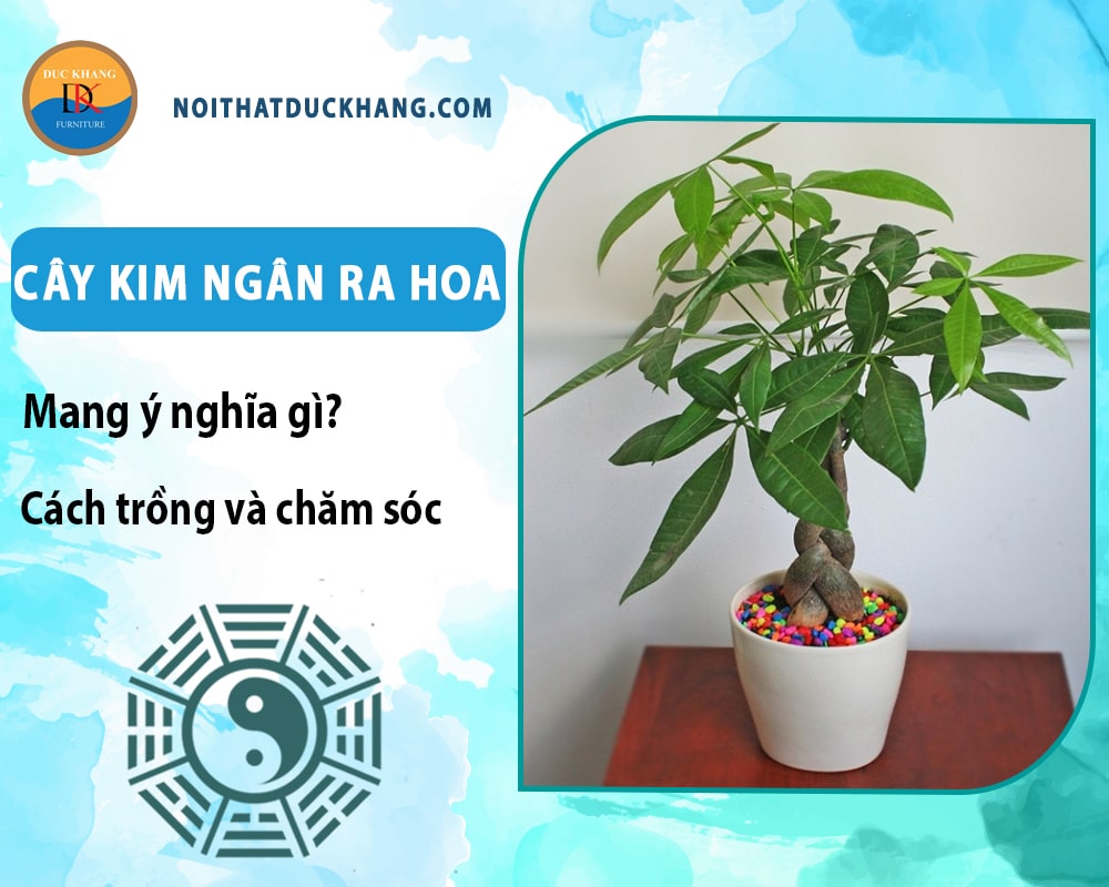 Cây kim ngân ra hoa mang ý nghĩa gì? Cách trồng và chăm sóc "Cây